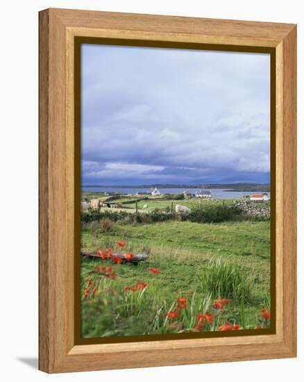 Landscape Near Ardara, County Donegal, Ulster, Eire (Republic of Ireland)-David Lomax-Framed Premier Image Canvas