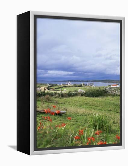 Landscape Near Ardara, County Donegal, Ulster, Eire (Republic of Ireland)-David Lomax-Framed Premier Image Canvas