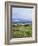 Landscape Near Ardara, County Donegal, Ulster, Eire (Republic of Ireland)-David Lomax-Framed Photographic Print