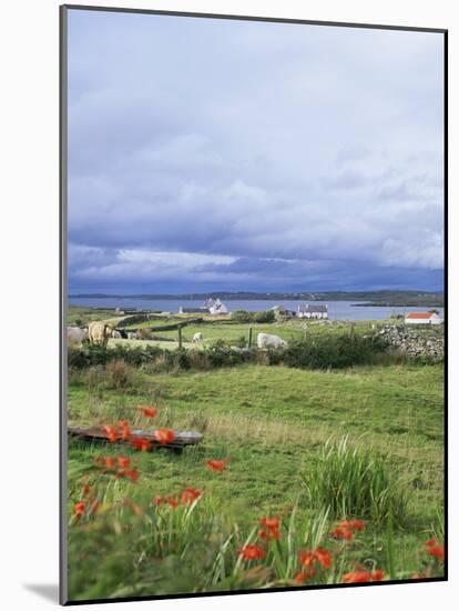 Landscape Near Ardara, County Donegal, Ulster, Eire (Republic of Ireland)-David Lomax-Mounted Photographic Print