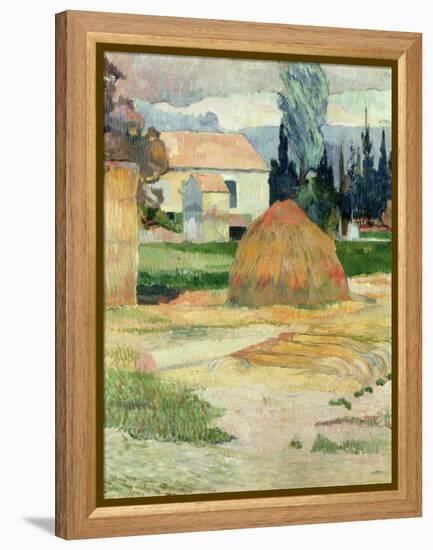 Landscape Near Arles, 1888-Paul Gauguin-Framed Premier Image Canvas