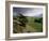 Landscape Near Austwick, Yorkshire Dales National Park, Yorkshire, England, United Kingdom, Europe-Patrick Dieudonne-Framed Photographic Print