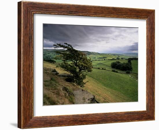 Landscape Near Austwick, Yorkshire Dales National Park, Yorkshire, England, United Kingdom, Europe-Patrick Dieudonne-Framed Photographic Print