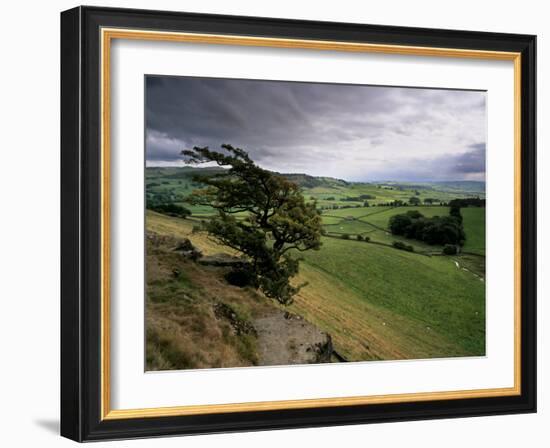 Landscape Near Austwick, Yorkshire Dales National Park, Yorkshire, England, United Kingdom, Europe-Patrick Dieudonne-Framed Photographic Print