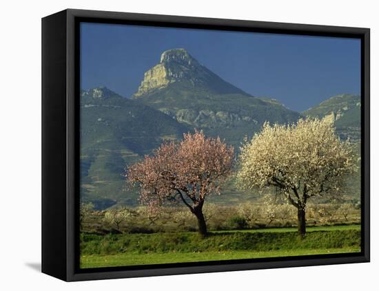 Landscape Near Balaguer, Lerida, Catalonia, Spain, Europe-Michael Busselle-Framed Premier Image Canvas