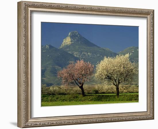 Landscape Near Balaguer, Lerida, Catalonia, Spain, Europe-Michael Busselle-Framed Photographic Print