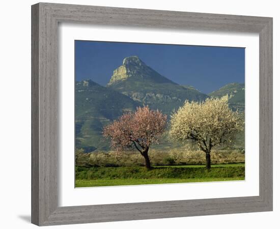 Landscape Near Balaguer, Lerida, Catalonia, Spain, Europe-Michael Busselle-Framed Photographic Print