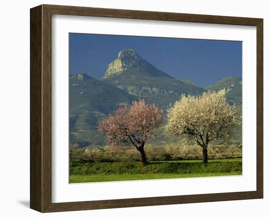 Landscape Near Balaguer, Lerida, Catalonia, Spain, Europe-Michael Busselle-Framed Photographic Print