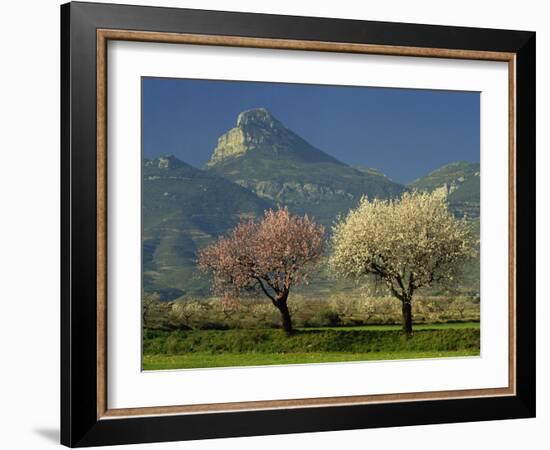 Landscape Near Balaguer, Lerida, Catalonia, Spain, Europe-Michael Busselle-Framed Photographic Print