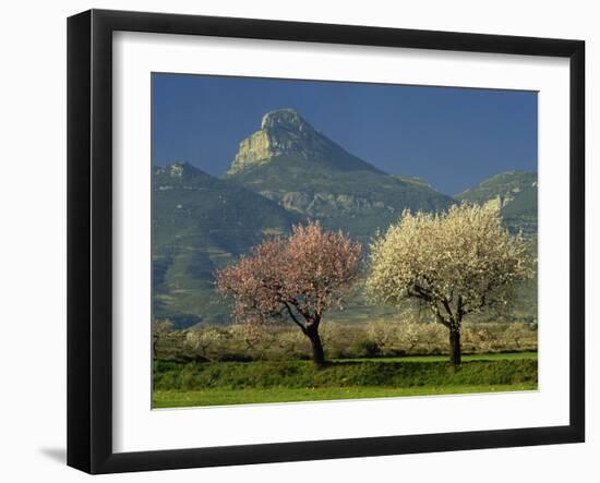 Landscape Near Balaguer, Lerida, Catalonia, Spain, Europe-Michael Busselle-Framed Photographic Print