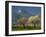 Landscape Near Balaguer, Lerida, Catalonia, Spain, Europe-Michael Busselle-Framed Photographic Print