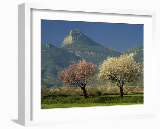 Landscape Near Balaguer, Lerida, Catalonia, Spain, Europe-Michael Busselle-Framed Photographic Print