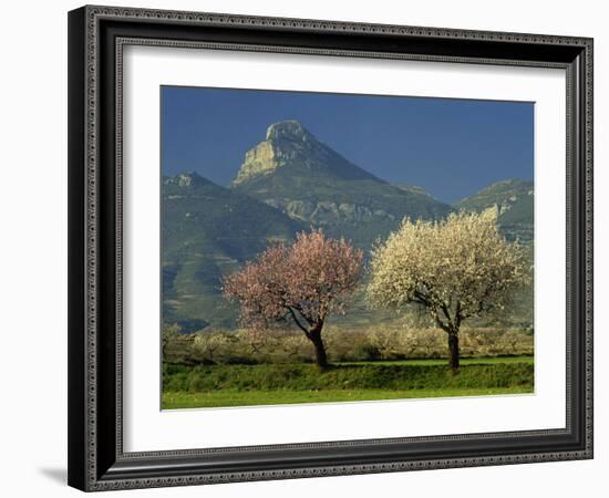 Landscape Near Balaguer, Lerida, Catalonia, Spain, Europe-Michael Busselle-Framed Photographic Print