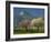 Landscape Near Balaguer, Lerida, Catalonia, Spain, Europe-Michael Busselle-Framed Photographic Print