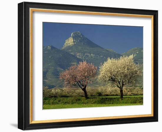 Landscape Near Balaguer, Lerida, Catalonia, Spain, Europe-Michael Busselle-Framed Photographic Print