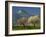 Landscape Near Balaguer, Lerida, Catalonia, Spain, Europe-Michael Busselle-Framed Photographic Print