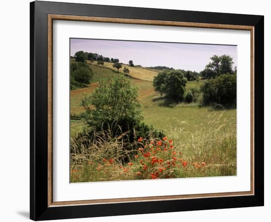 Landscape Near Cahors, Lot, Midi Pyrenees, France-Michael Busselle-Framed Photographic Print