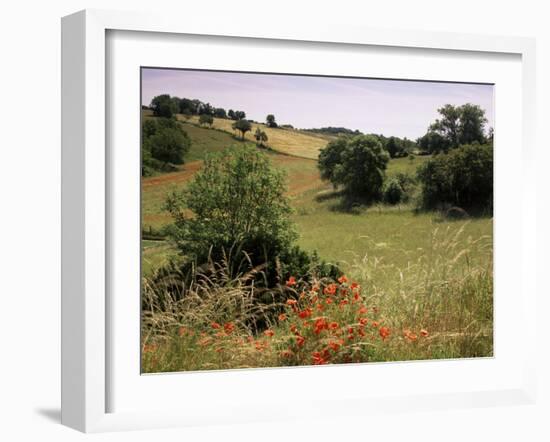 Landscape Near Cahors, Lot, Midi Pyrenees, France-Michael Busselle-Framed Photographic Print