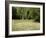 Landscape Near Cahors, Lot, Midi Pyrenees, France-Michael Busselle-Framed Photographic Print