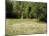 Landscape Near Cahors, Lot, Midi Pyrenees, France-Michael Busselle-Mounted Photographic Print
