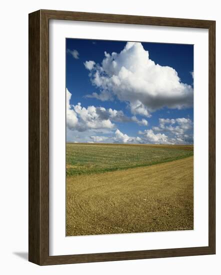 Landscape Near Chablis, Burgundy (Bourgogne), France-Michael Busselle-Framed Photographic Print