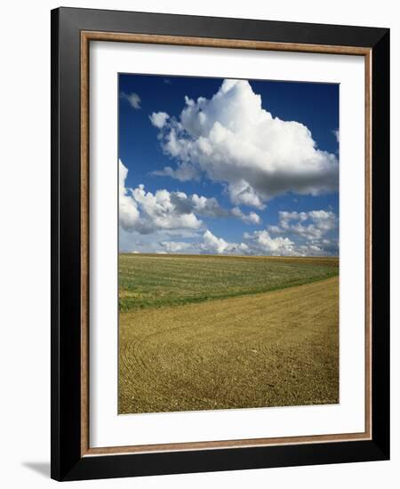 Landscape Near Chablis, Burgundy (Bourgogne), France-Michael Busselle-Framed Photographic Print