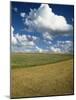 Landscape Near Chablis, Burgundy (Bourgogne), France-Michael Busselle-Mounted Photographic Print