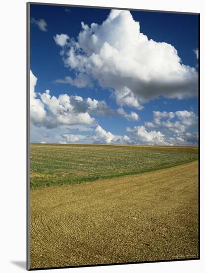 Landscape Near Chablis, Burgundy (Bourgogne), France-Michael Busselle-Mounted Photographic Print