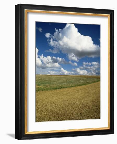 Landscape Near Chablis, Burgundy (Bourgogne), France-Michael Busselle-Framed Photographic Print