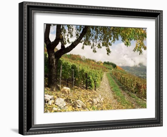 Landscape Near Chambery, Savoie, Rhone Alpes, France-Michael Busselle-Framed Photographic Print