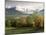 Landscape Near Chambery, Savoie, Rhone Alpes, French Alps, France-Michael Busselle-Mounted Photographic Print