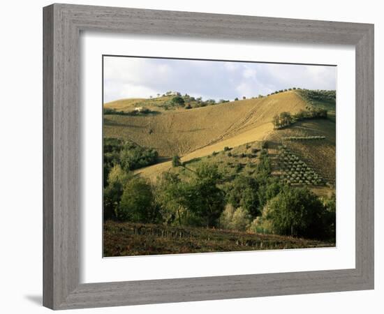 Landscape Near Chieti, Abruzzo, Italy-Michael Newton-Framed Photographic Print