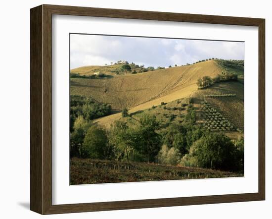 Landscape Near Chieti, Abruzzo, Italy-Michael Newton-Framed Photographic Print