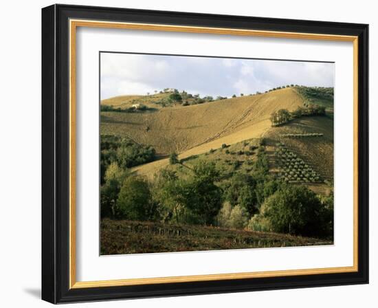 Landscape Near Chieti, Abruzzo, Italy-Michael Newton-Framed Photographic Print