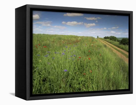 Landscape Near Clecy, Basse Normandie (Normandy), France-Michael Busselle-Framed Premier Image Canvas