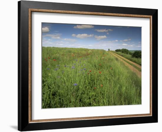 Landscape Near Clecy, Basse Normandie (Normandy), France-Michael Busselle-Framed Photographic Print