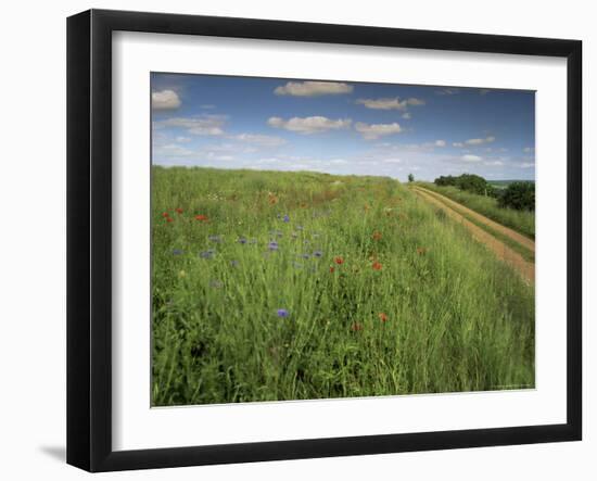 Landscape Near Clecy, Basse Normandie (Normandy), France-Michael Busselle-Framed Photographic Print