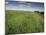 Landscape Near Clecy, Basse Normandie (Normandy), France-Michael Busselle-Mounted Photographic Print