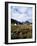 Landscape Near Glencoe, Highland Region, Scotland, United Kingdom-Hans Peter Merten-Framed Photographic Print