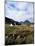 Landscape Near Glencoe, Highland Region, Scotland, United Kingdom-Hans Peter Merten-Mounted Photographic Print