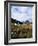 Landscape Near Glencoe, Highland Region, Scotland, United Kingdom-Hans Peter Merten-Framed Photographic Print