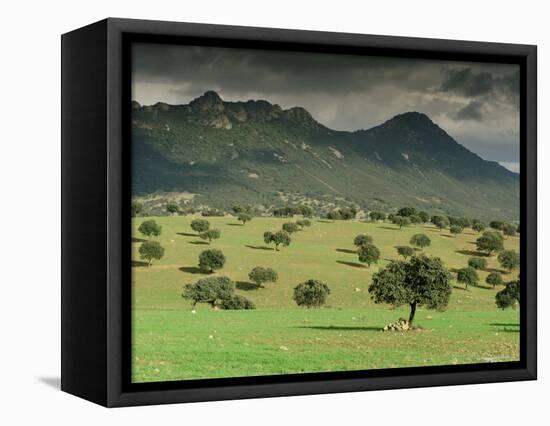 Landscape Near Guadalupe, Extremadura, Spain-Michael Busselle-Framed Premier Image Canvas