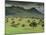 Landscape Near Guadalupe, Extremadura, Spain-Michael Busselle-Mounted Photographic Print