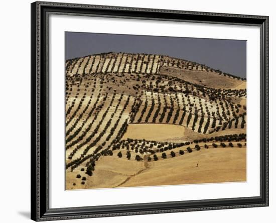 Landscape Near Jaen, Andalucia (Andalusia), Spain-Michael Busselle-Framed Photographic Print
