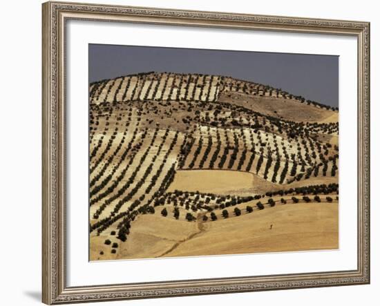 Landscape Near Jaen, Andalucia (Andalusia), Spain-Michael Busselle-Framed Photographic Print