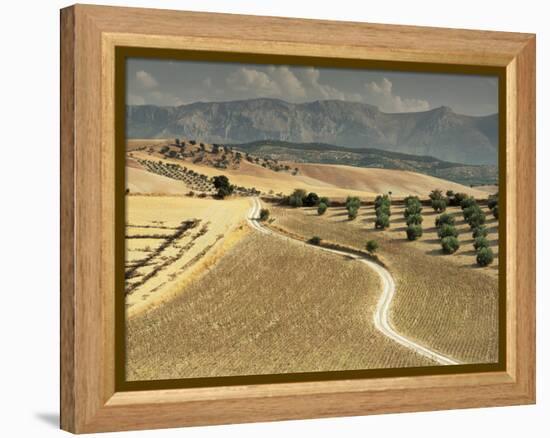 Landscape Near Jaen, Andalucia, Spain-Michael Busselle-Framed Premier Image Canvas