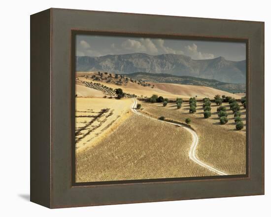 Landscape Near Jaen, Andalucia, Spain-Michael Busselle-Framed Premier Image Canvas