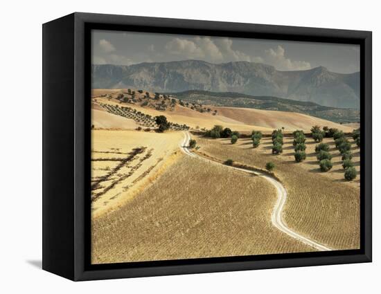 Landscape Near Jaen, Andalucia, Spain-Michael Busselle-Framed Premier Image Canvas