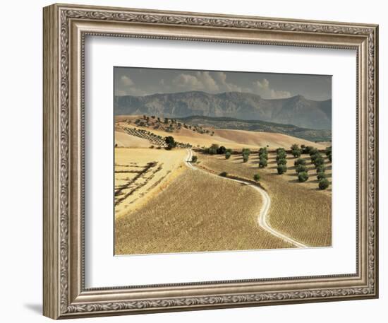 Landscape Near Jaen, Andalucia, Spain-Michael Busselle-Framed Photographic Print