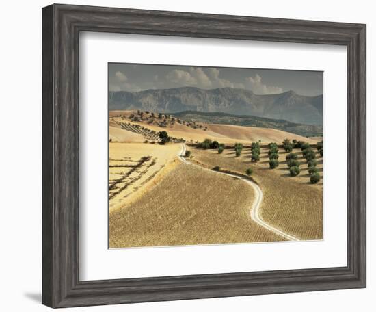 Landscape Near Jaen, Andalucia, Spain-Michael Busselle-Framed Photographic Print